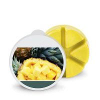 Pineapple Wax Melts 200x200 - Products